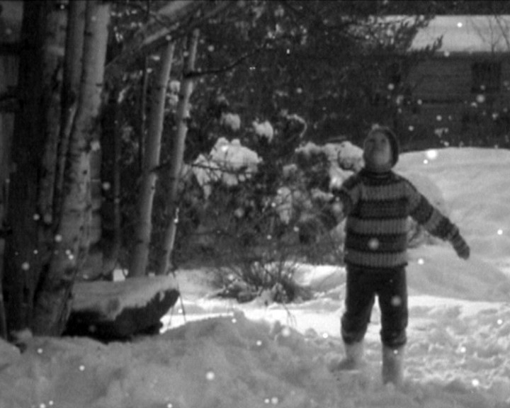 A child in a striped jumper stands in deep snow among birch trees, face turned upwards.