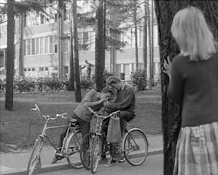 A girl stands behind a pine trunk watching two boys lean together over their bicycles.