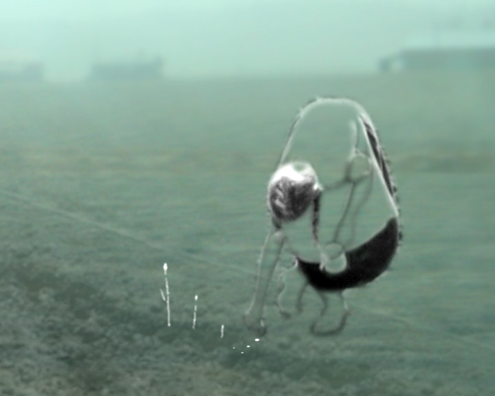 A pale translucent figure with a round head hangs bent over a misty green field.
