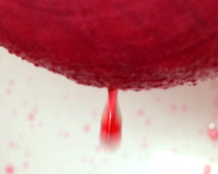 A thick red drop hangs from the underside of a dark red woollen shape against white.