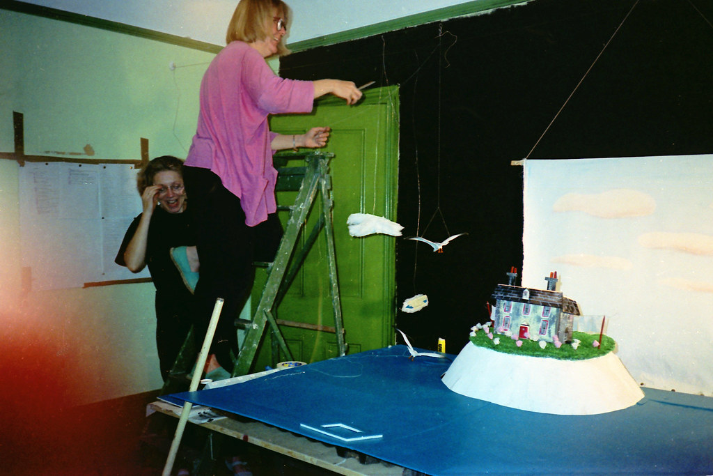 A woman on a stepladder reaches towards model seagulls on wires while another laughs below.